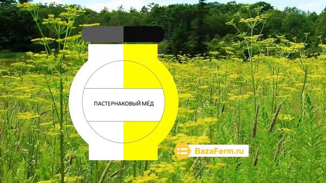 Сорта мёда - встречаемость мёда смотреть онлайн