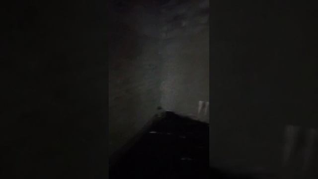 Дом 85 кв. м. в наличии ЖК Палитра смотреть онлайн