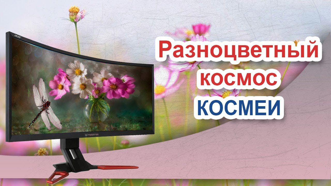 Воздушная Космея . Красота Космеи смотреть онлайн