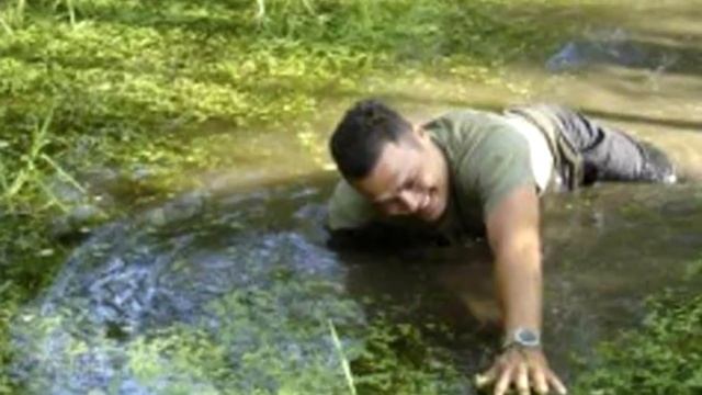 Когда добыча становится спасителем: история о лосе, который спас охотника от смерти в болоте смотреть онлайн