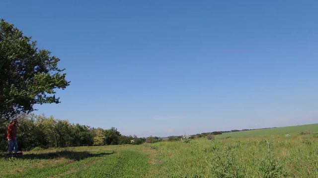 Майские жуки на природе 21.05.2016 смотреть онлайн