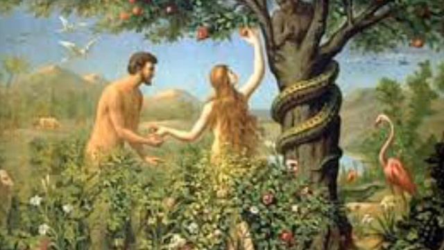 ОДАМ АТО ВА МОМО ХАВО ДУНЁНИНГ ЯРАЛИШИ Farzand