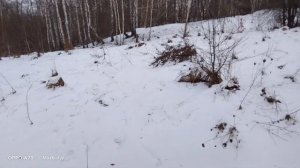 Дальнобойные патроны 12 калибра Дробь на 100метров