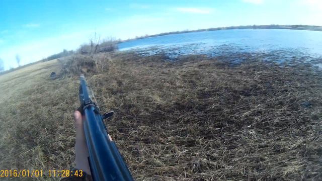 Saiga 12/ Сайга 12, стрельба по бутылкам.(sjcam4000wifi) смотреть онлайн