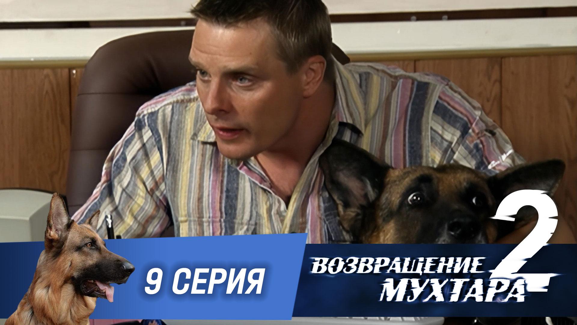 «Возвращение Мухтара — 2». 9 серия. «Собака.ru» смотреть онлайн