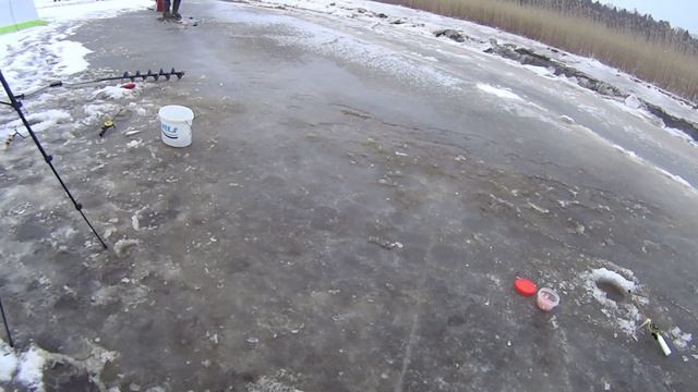 Зимняя морская рыбалка. Ловля корюшки. смотреть онлайн