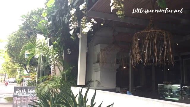 ☀️Best Of Sanur Bali | Travel Video 2019