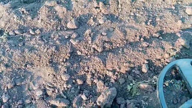 Покопушки по скифам. И снова наковый клондайк! смотреть онлайн
