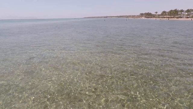 CORAL SEA WATERWORLD 5* Набк Бей, Шарм-Эль-Шейх, Египет. 2019 год. (3 часть) смотреть онлайн