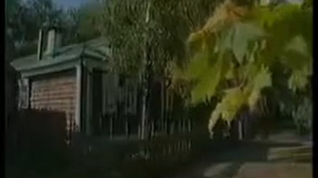 Есенин Клен ты мой опавший Поет Павел Пикалов смотреть онлайн