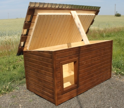 Видеовизитка.mp4