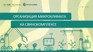 Организация микроклимата на свинокомплексе