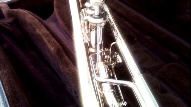 Видеоурок "Штрихи на трубе". Преподаватель Тыртышный А.М. смотреть онлайн