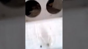 Делаем короб ЧВ под 2 15 в ваз 2104
