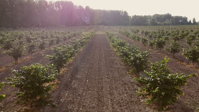 Стройка Заданий