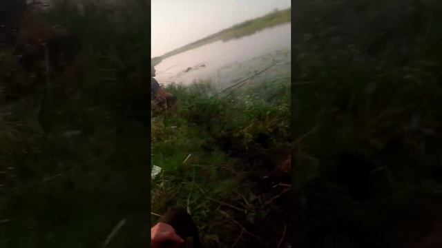 Рыбалка , на Оби смотреть онлайн
