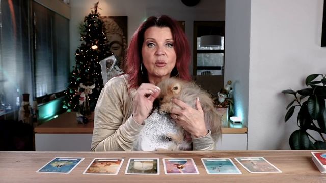 Dreams Do Come True ? Oracle Card Reading for the Week of December 30th смотреть онлайн