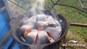 Коптим рыбу в казане самобранка