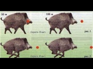 Как стрелять по движущейся цели.