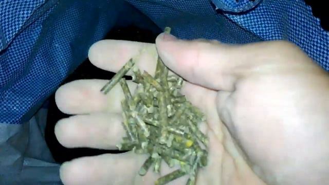 اسهل طرريقة فى تربية الحمام смотреть онлайн