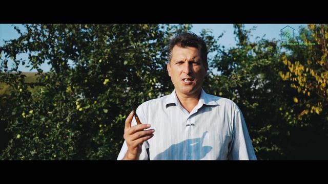 Нож для окулировки - Тина 641 (knife for grafting). смотреть онлайн