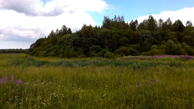 Сбор Иван Чая в Копорье смотреть онлайн