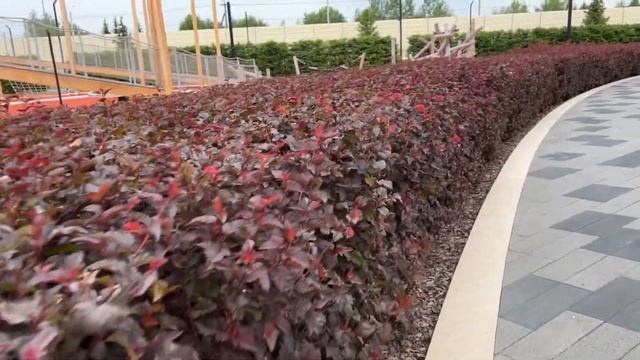 Живые блоки для Вашего участка. смотреть онлайн