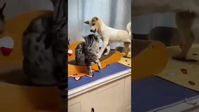 большая дружная семья)) смотреть онлайн