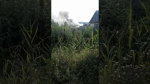 Александровск Сахалинский смотреть онлайн
