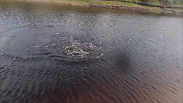 Джерки рулят! Новые и старые уловистые Джеркбейты прош смотреть онлайн