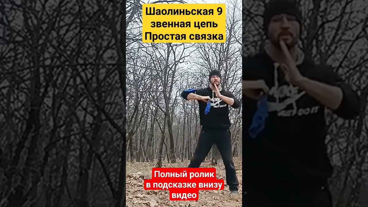 Простая связка с Шаолиньской Цепью, которую сможет выучить каждый #кунгфу #шаолинь смотреть онлайн