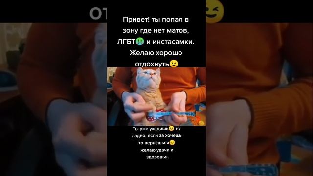 #short #shorts #мем #мемы #прикол #юмор #актив #funny смотреть онлайн