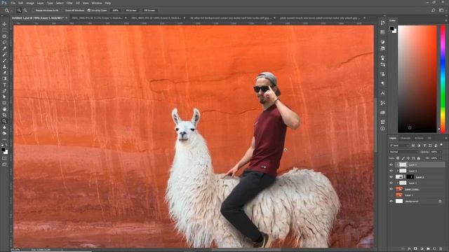 ОСЕДЛАЛ ЛАМУ (ФОТОШОП) | КАК ПРОКАЧАТЬ СВОЙ ИНСТАГРАМ (#1) смотреть онлайн