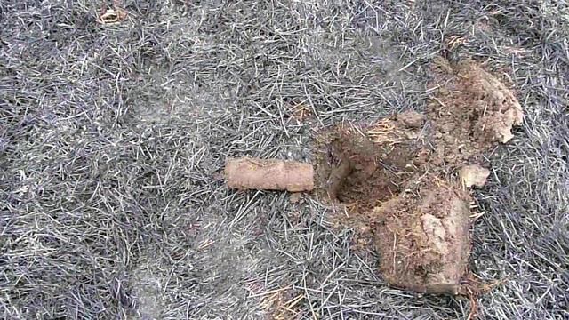 выкопал воп смотреть онлайн