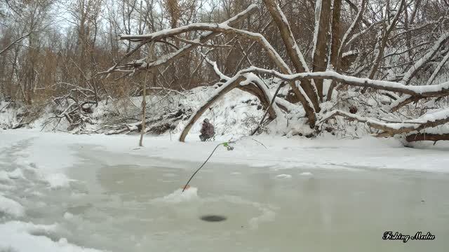 Ловля налима на реке - руководство от А до Я. смотреть онлайн
