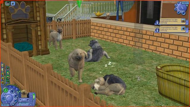 Let's Play The Sims 2 Prettacy Part 101 (The Last Sale Part 2 of 4) смотреть онлайн