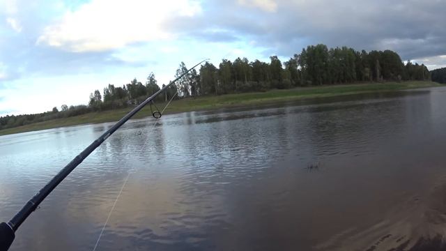 Тестирую новый спиннинг CF Perfect Jig . Окунь на каждом забросе, мы его нашли.