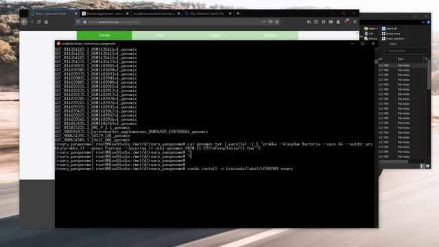 Bioinformatics - Prokaryote Pan Genome with Roary! (Timestamps) смотреть онлайн