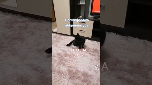 Расшифровка аббревиатуры НАТО и США смотреть онлайн