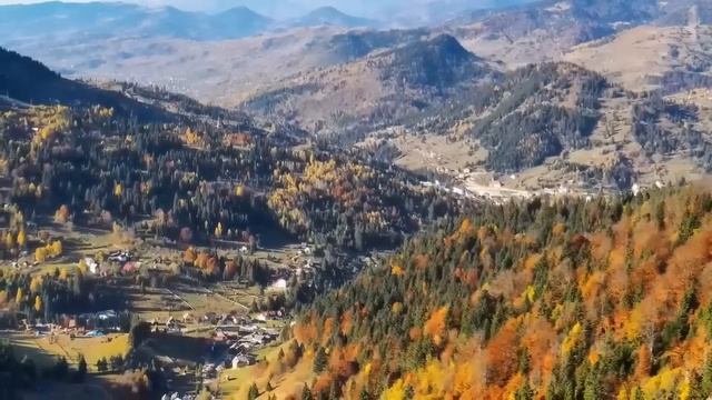 Пока невестка в роддоме была, свекровь свои порядки навела, но когда невестка вернулась...