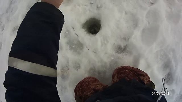 РЫБАЛКА ФОРЕЛЬ НА МАЛЬКА И ИКРУ смотреть онлайн