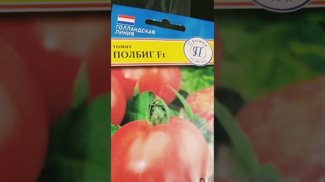 Вот это скорость! Голландская линия. Томат Полбиг F1. смотреть онлайн