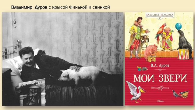 Дурова и цирк видео смотреть онлайн