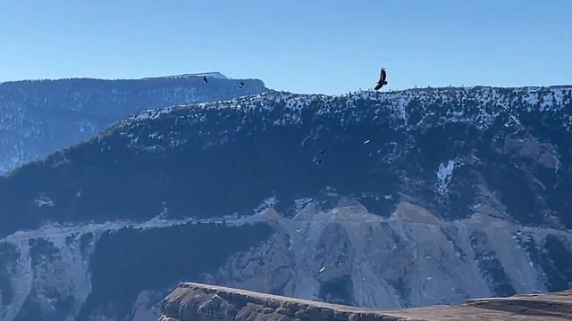 Поездка в Гумбетовский район 10.12.2022г. смотреть онлайн