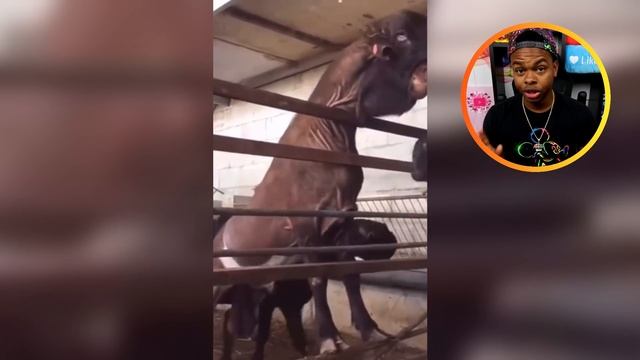 Top 10 Disturbing Interviews With Evil People смотреть онлайн