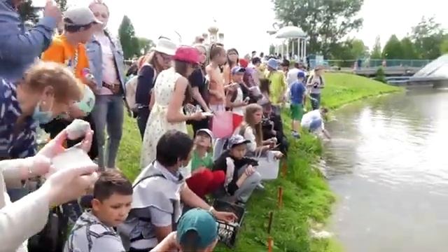 Эксперимент 