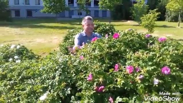 Стихотворение «Моей дочери Елене...» смотреть онлайн