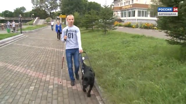 Социальный навигатор № 08 смотреть онлайн