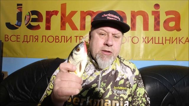 Батл Джеркбейтов! Slider 16 & Big Game Shad или как отсеять мелкую щуку. смотреть онлайн