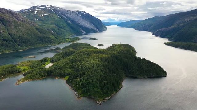 Музыка лечит сердце и сосуды🌿 Расслабляющая музыка для глубокого сна, высвобождение мелатонина #20